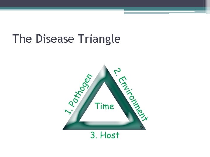 The Disease Triangle 