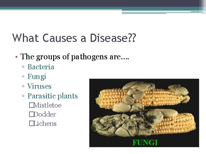 What Causes a Disease? ? • The groups of pathogens are…. ▫ ▫ Bacteria