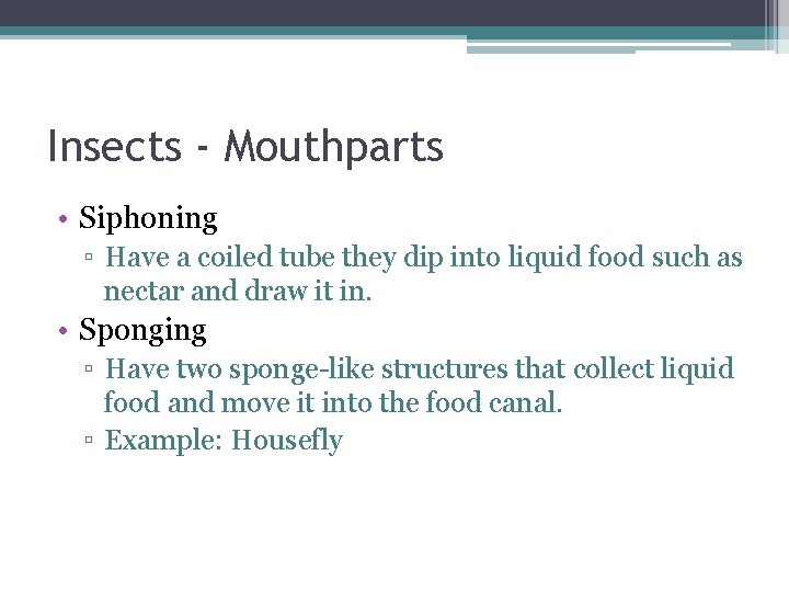 Insects - Mouthparts • Siphoning ▫ Have a coiled tube they dip into liquid