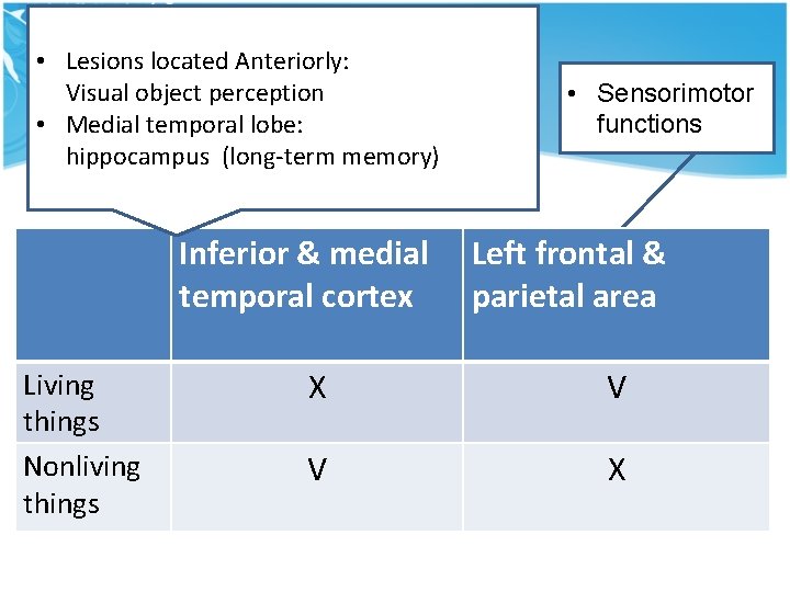 • Lesions located Anteriorly: Visual object perception • Medial temporal lobe: hippocampus (long-term • Lesions located Anteriorly: Visual object perception • Medial temporal lobe: hippocampus (long-term