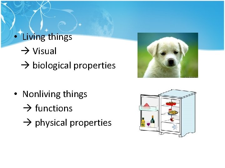 • Living things Visual biological properties • Nonliving things functions physical properties • Living things Visual biological properties • Nonliving things functions physical properties