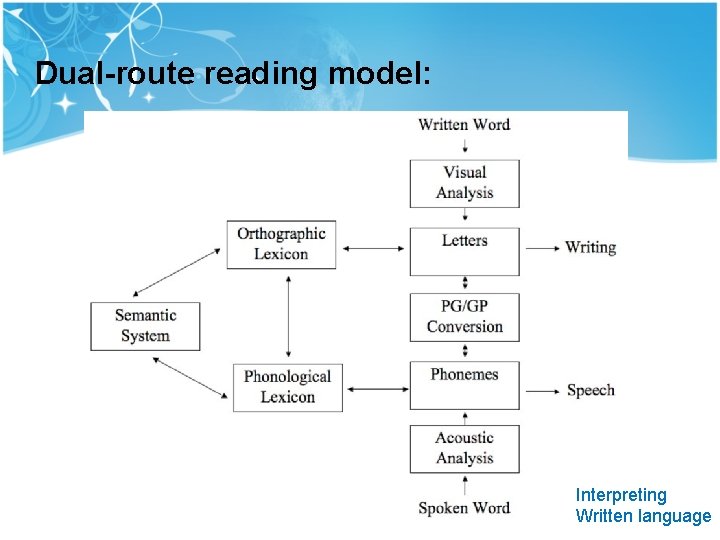 Dual-route reading model: Interpreting Written language Dual-route reading model: Interpreting Written language
