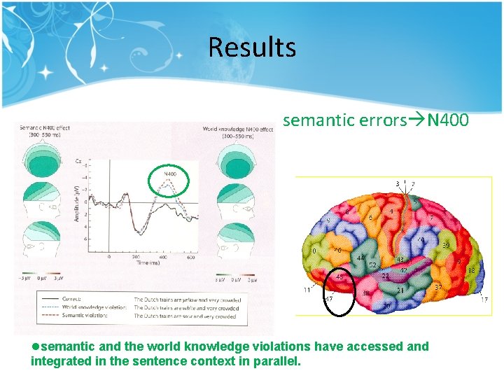 Results semantic errors N 400 lsemantic and the world knowledge violations have accessed and Results semantic errors N 400 lsemantic and the world knowledge violations have accessed and
