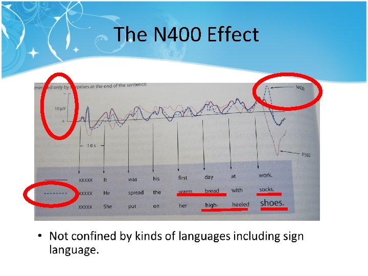 The N 400 Effect The N 400 Effect
