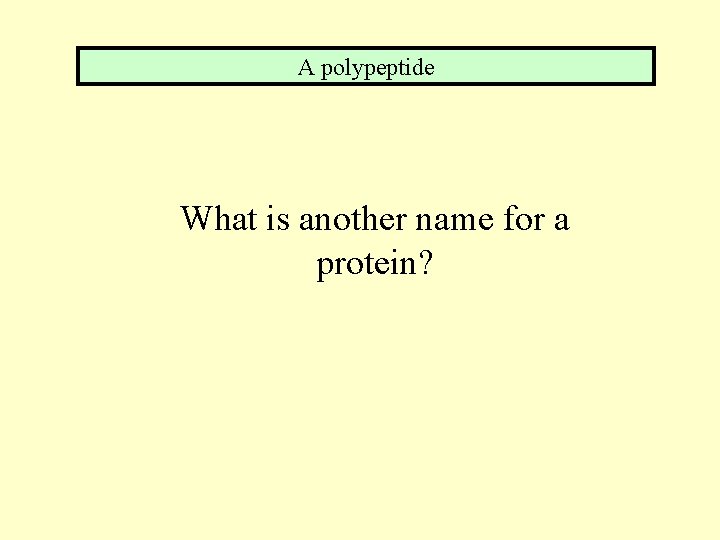 A polypeptide What is another name for a protein? 