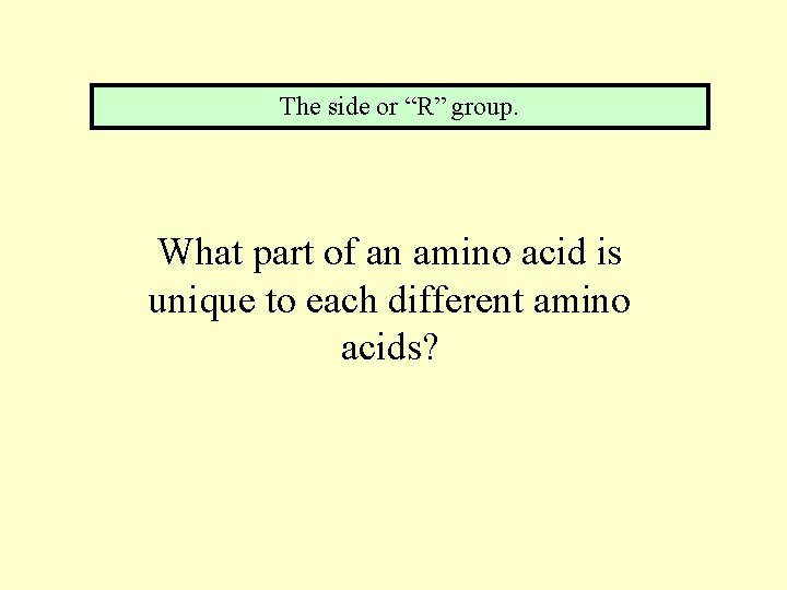 The side or “R” group. What part of an amino acid is unique to