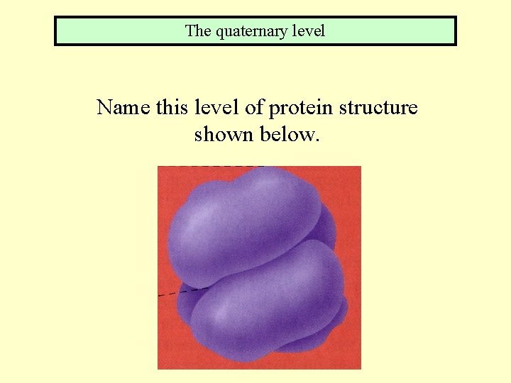 The quaternary level Name this level of protein structure shown below. 