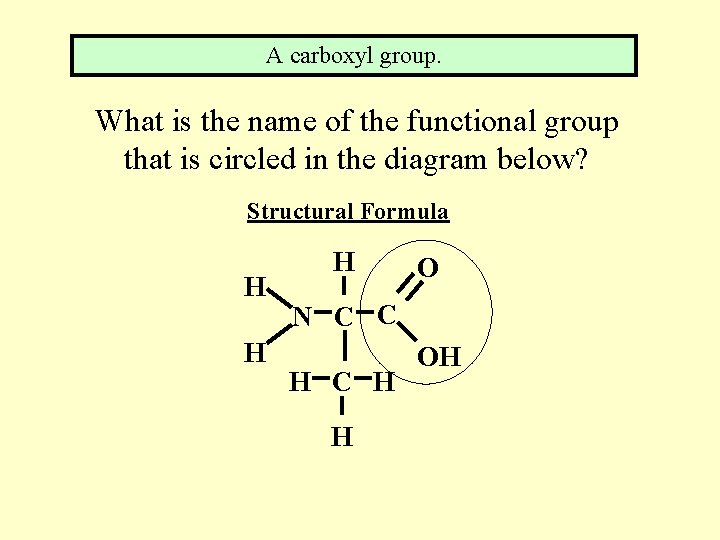 A carboxyl group. What is the name of the functional group that is circled