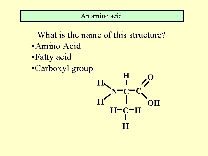 An amino acid. What is the name of this structure? • Amino Acid •