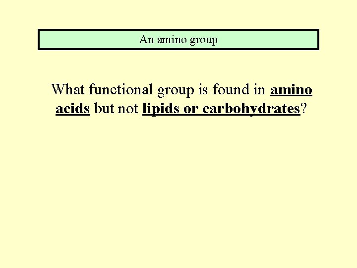 An amino group What functional group is found in amino acids but not lipids