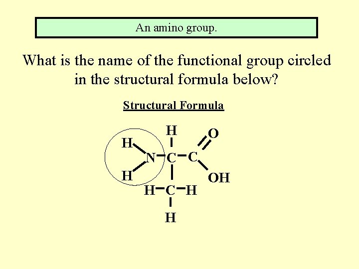 An amino group. What is the name of the functional group circled in the