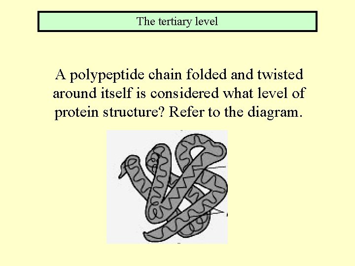 The tertiary level A polypeptide chain folded and twisted around itself is considered what