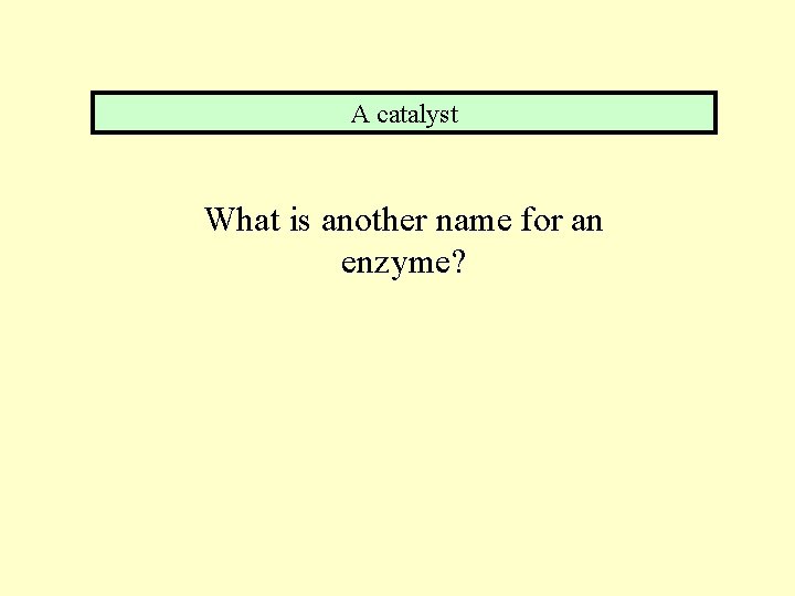 A catalyst What is another name for an enzyme? 