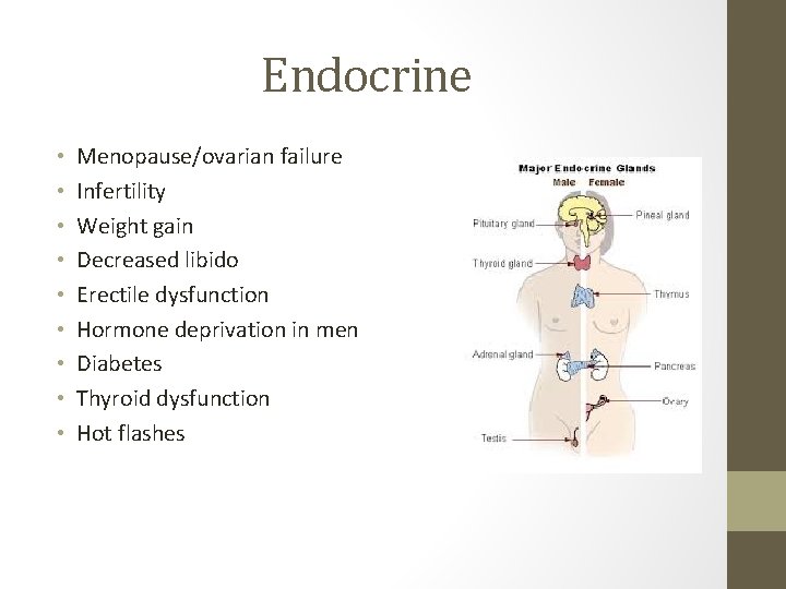 Endocrine • • • Menopause/ovarian failure Infertility Weight gain Decreased libido Erectile dysfunction Hormone