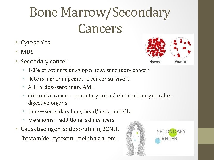 Bone Marrow/Secondary Cancers • Cytopenias • MDS • Secondary cancer 1 -3% of patients