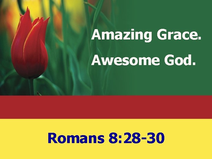 Amazing Grace. Awesome God. Romans 8: 28 -30 Amazing Grace. Awesome God. Romans 8: 28 -30