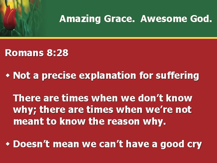 Amazing Grace. Awesome God. Romans 8: 28 w Not a precise explanation for suffering