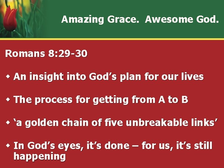 Amazing Grace. Awesome God. Romans 8: 29 -30 w An insight into God’s plan