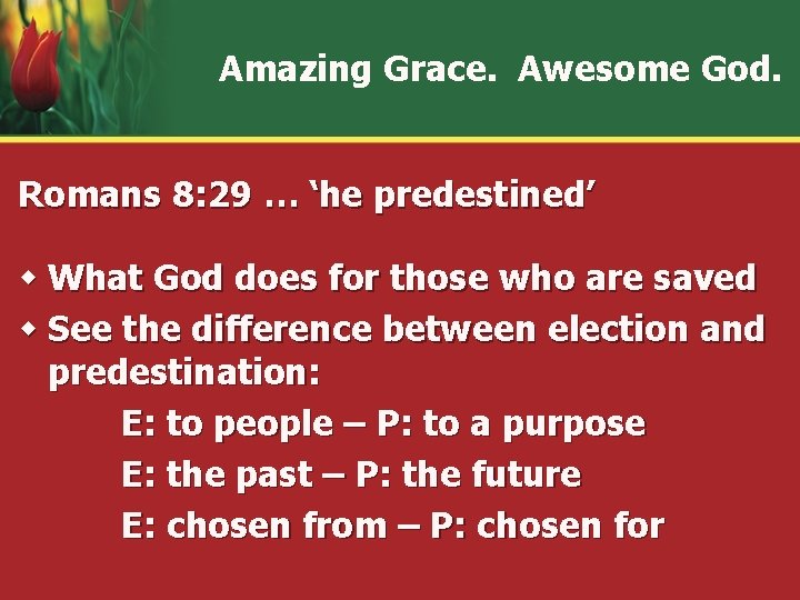 Amazing Grace. Awesome God. Romans 8: 29 … ‘he predestined’ w What God does