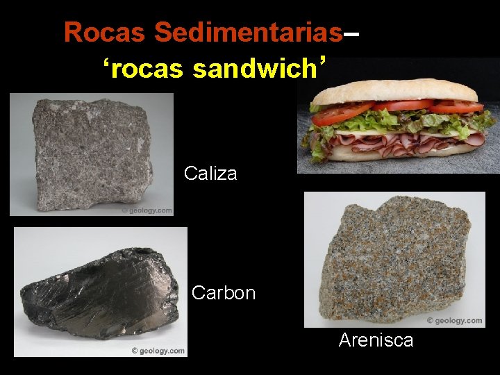 Rocas Sedimentarias– ‘rocas sandwich’ Caliza Carbon Arenisca 