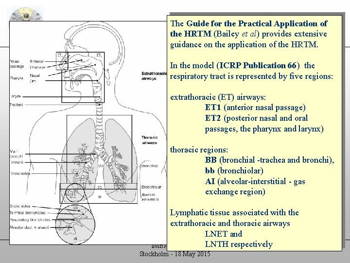 Biokinetic models The Guide for the Practical Application of the HRTM (Bailey et al)