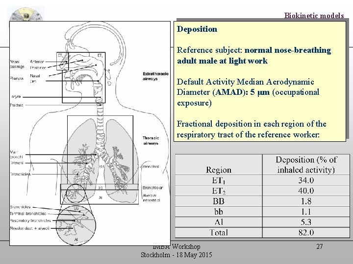 Biokinetic models Deposition Human Respiratory Tract Model (HRTM) Reference subject: normal nose-breathing adult male