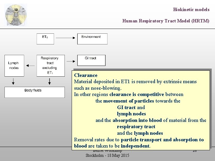 Biokinetic models Human Respiratory Tract Model (HRTM) Clearance Material deposited in ET 1 is