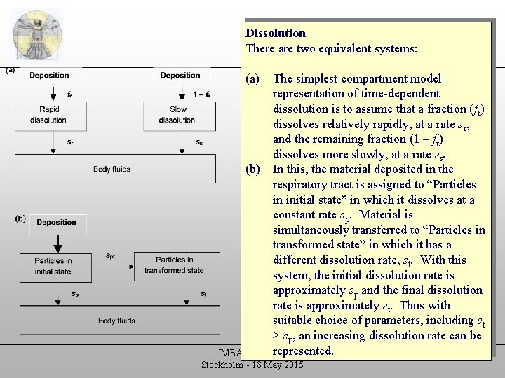 Biokinetic models Dissolution There are two equivalent systems: Human Respiratory Tract Model (HRTM) (a)