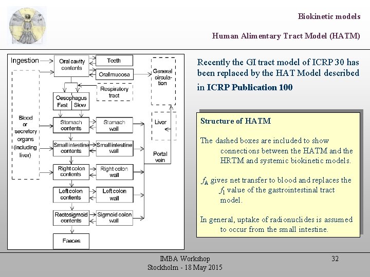 Biokinetic models Human Alimentary Tract Model (HATM) Recently the GI tract model of ICRP