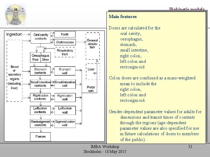 Biokinetic models Main features Human Alimentary Tract Model (HATM) Doses are calculated for the