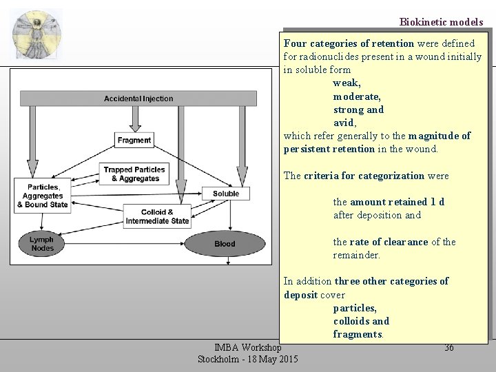 Biokinetic models Four categories of retention were defined NCRP wound model for radionuclides present