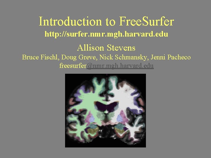 Introduction to Free. Surfer http: //surfer. nmr. mgh. harvard. edu Allison Stevens Bruce Fischl,