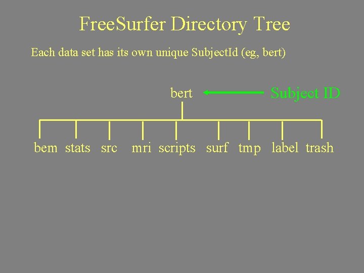 Free. Surfer Directory Tree Each data set has its own unique Subject. Id (eg,
