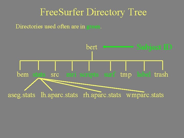Free. Surfer Directory Tree Directories used often are in green. bert bem stats src