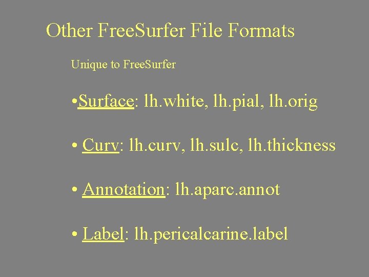 Other Free. Surfer File Formats Unique to Free. Surfer • Surface: lh. white, lh.