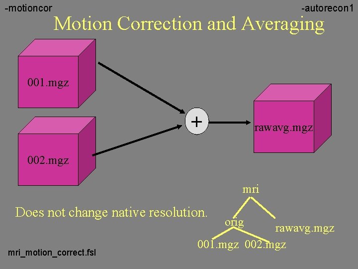 -motioncor -autorecon 1 Motion Correction and Averaging 001. mgz + rawavg. mgz 002. mgz