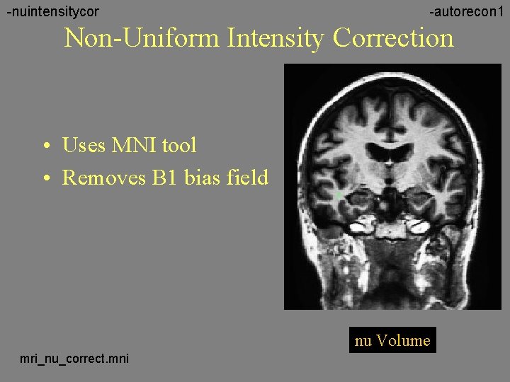 -nuintensitycor -autorecon 1 Non-Uniform Intensity Correction • Uses MNI tool • Removes B 1