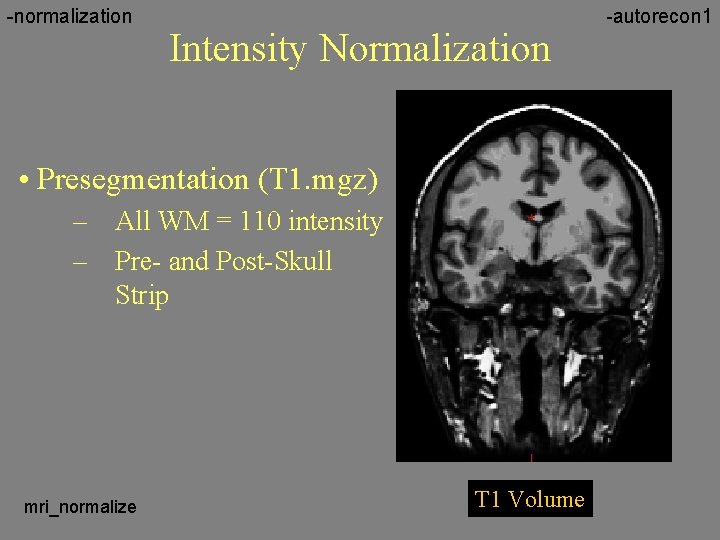 -normalization Intensity Normalization • Presegmentation (T 1. mgz) – All WM = 110 intensity