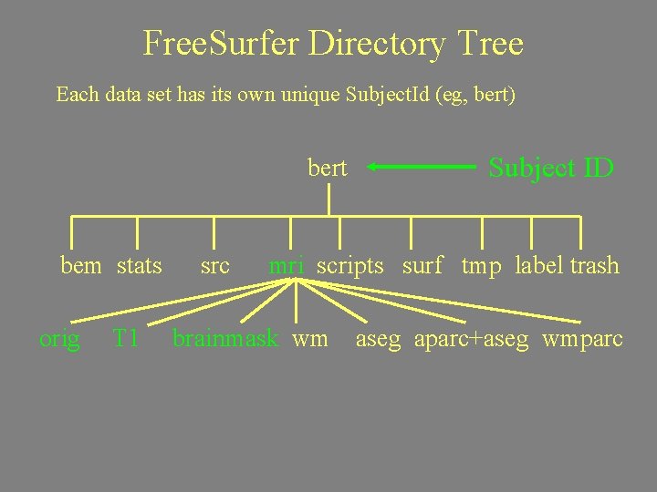 Free. Surfer Directory Tree Each data set has its own unique Subject. Id (eg,