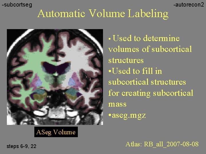 -subcortseg Automatic Volume Labeling -autorecon 2 • Used to determine volumes of subcortical structures