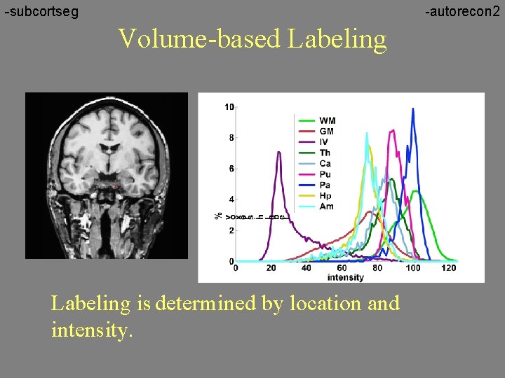 -subcortseg -autorecon 2 Volume-based Labeling is determined by location and intensity. 