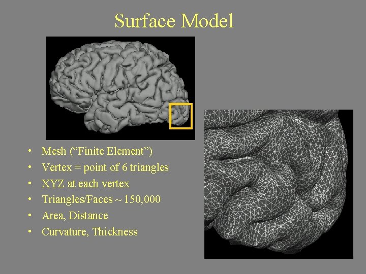 Surface Model • • • Mesh (“Finite Element”) Vertex = point of 6 triangles