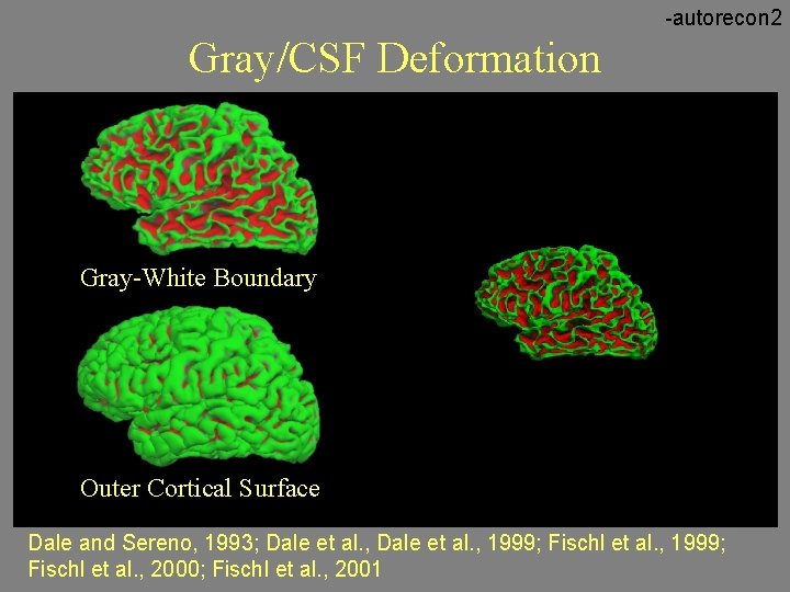 -autorecon 2 Gray/CSF Deformation Gray-White Boundary Outer Cortical Surface Dale and Sereno, 1993; Dale