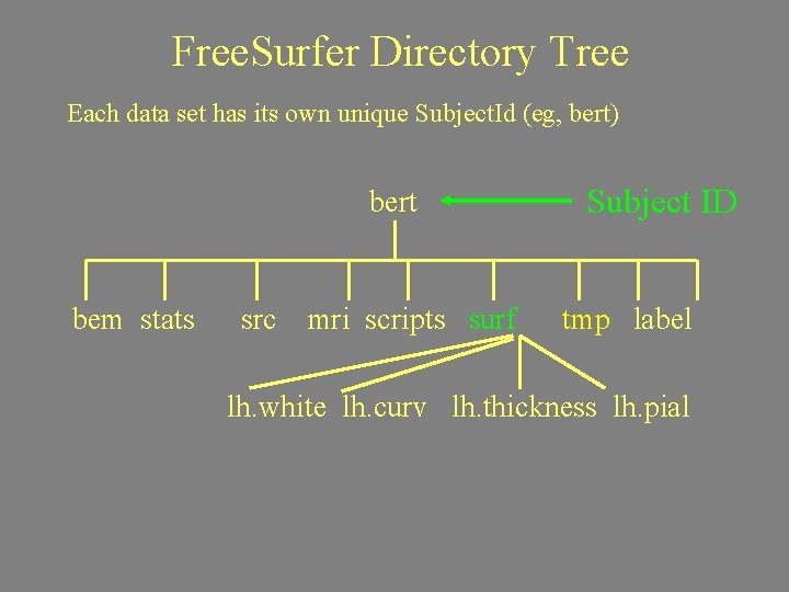 Free. Surfer Directory Tree Each data set has its own unique Subject. Id (eg,