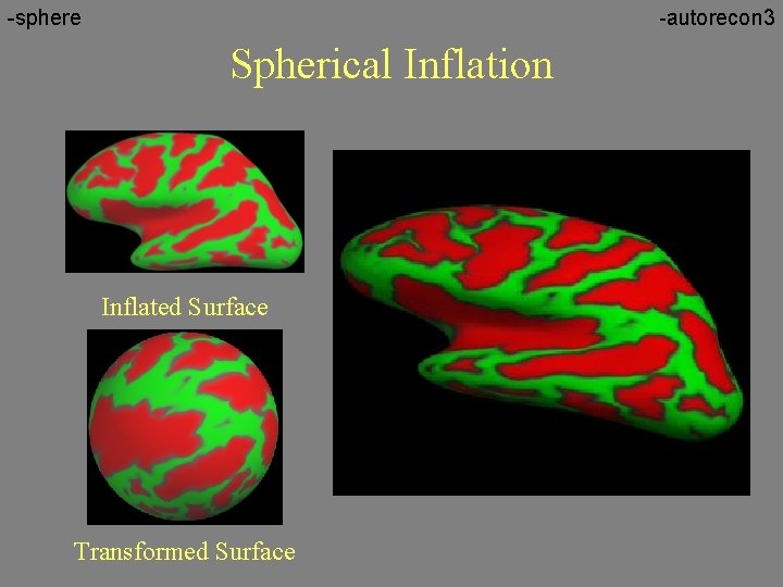 -sphere -autorecon 3 Spherical Inflation Inflated Surface Transformed Surface 