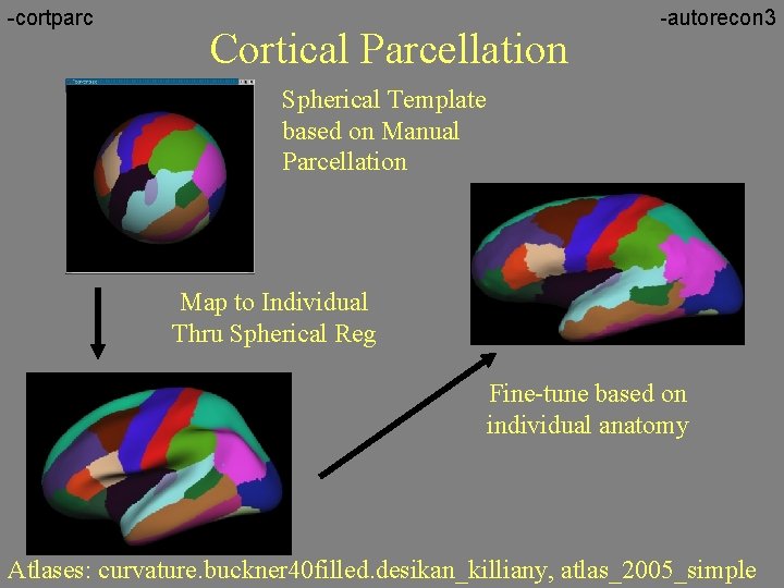 -cortparc Cortical Parcellation -autorecon 3 Spherical Template based on Manual Parcellation Map to Individual