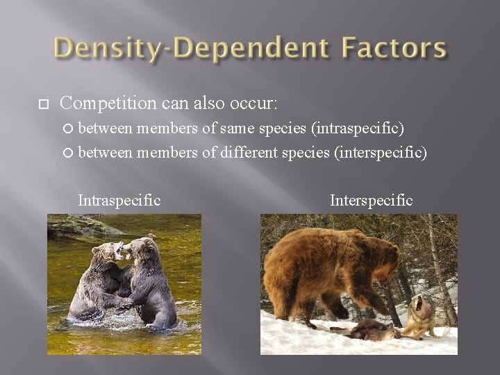  Competition can also occur: between members of same species (intraspecific) between members of