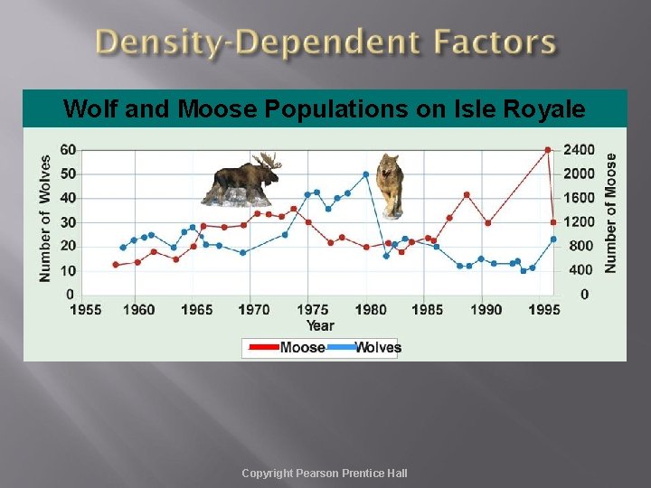 Wolf and Moose Populations on Isle Royale Copyright Pearson Prentice Hall 