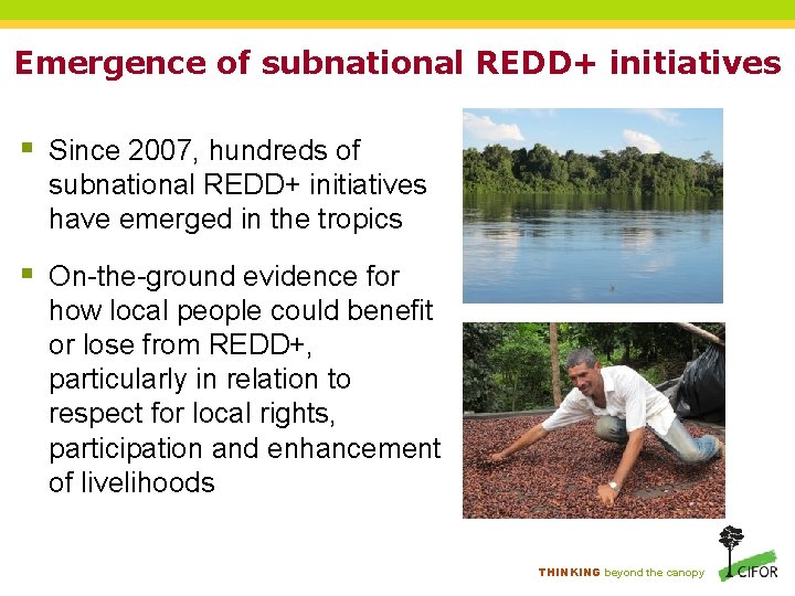 Emergence of subnational REDD+ initiatives § Since 2007, hundreds of subnational REDD+ initiatives have Emergence of subnational REDD+ initiatives § Since 2007, hundreds of subnational REDD+ initiatives have