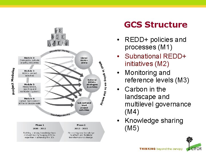 GCS Structure • REDD+ policies and processes (M 1) • Subnational REDD+ initiatives (M GCS Structure • REDD+ policies and processes (M 1) • Subnational REDD+ initiatives (M